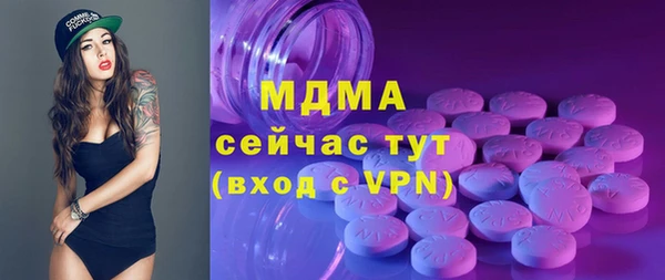 индика Козловка