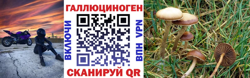 Псилоцибиновые грибы мухоморы наркота Ардатов